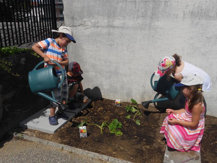 Plantations à l'école Notre Dame