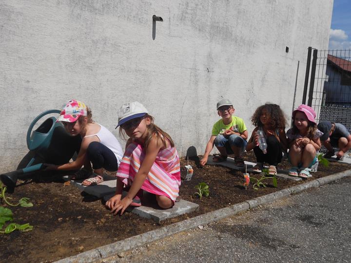 Plantations à l'école Notre Dame