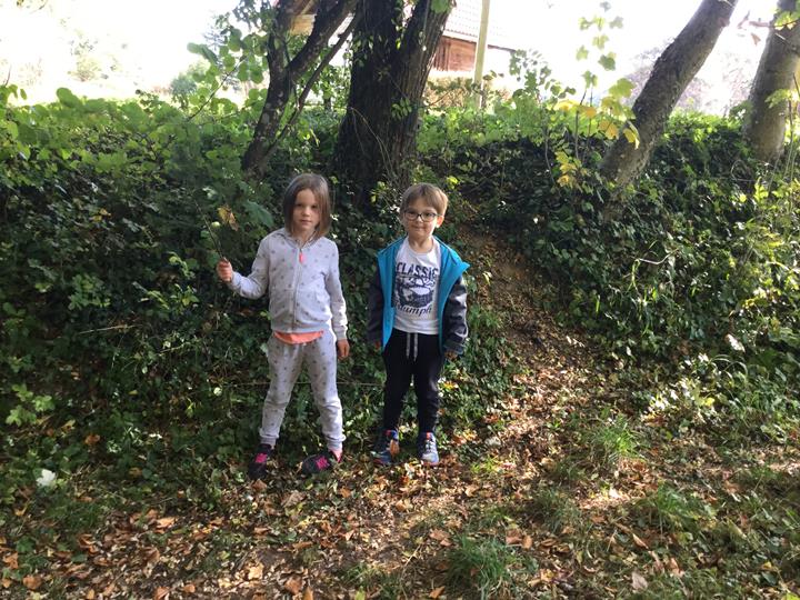 Sortie en forêt pour les classes de CP