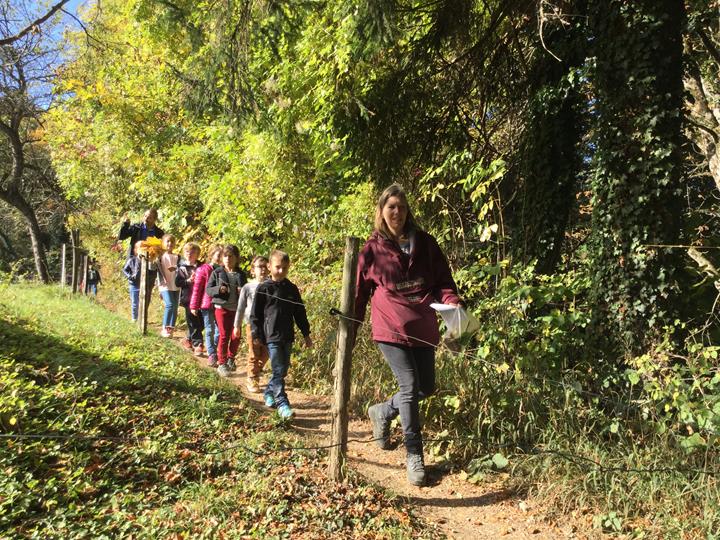 Sortie en forêt pour les classes de CP